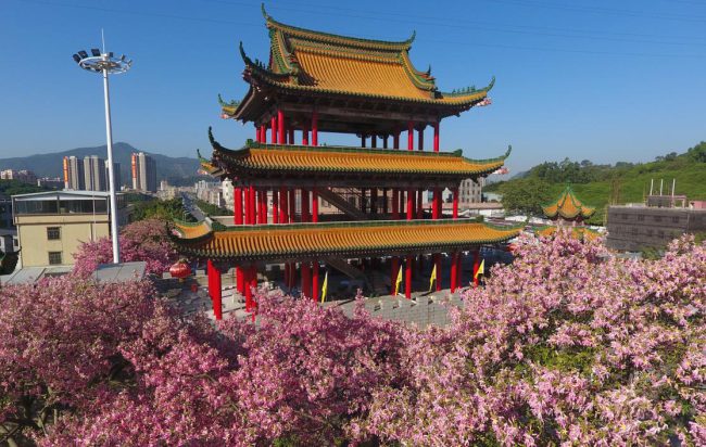 中国有座神奇的山：广东观音山国家森林公园（六）